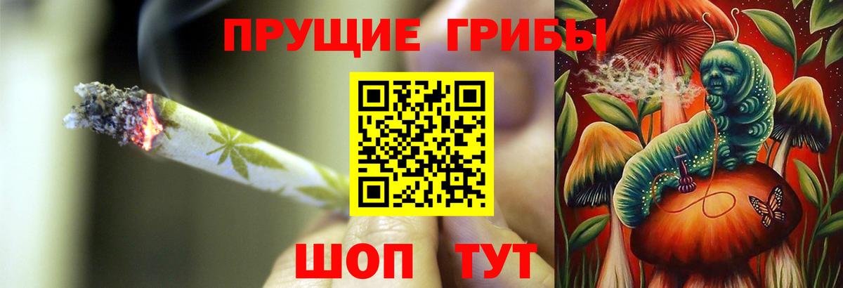 Псилоцибиновые грибы ЛСД  Вход с VPN  Сибай  Галлюциногенные грибы GOLDEN TEACHER 